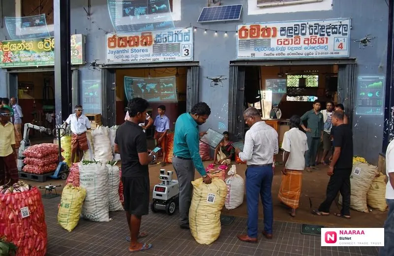Wholesale Suppliers